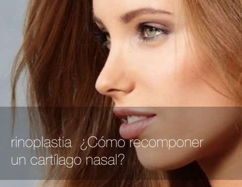 rinoplastia-en-Barcelona-tipos-de-tejidos-para-reconstruir-un-cartílago